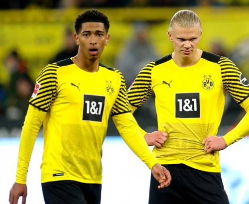 粉丝从预告 粉丝从预告