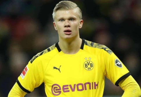 反应频率 反应频率